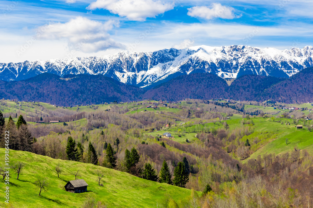 Fototapeta premium Landscape with green hills in the foreground and the Piatra Craiului mountains with snow-capped peaks in the background. Piatra Craiului Mountains - Romania with snow on the peaks seen in spring