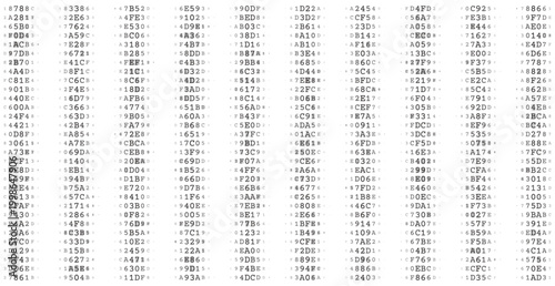 Structured Binary Matrix - Quad-Column Technical Data Distribution