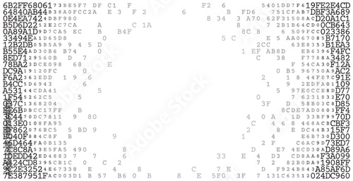 Virtual Peripheral Logic - High-Contrast Binary Frame with Central Negative Space Dispersion