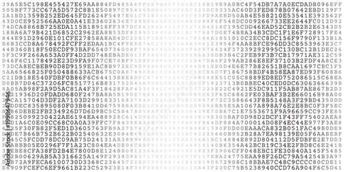 Monolith Data Stream - Symmetrical Binary Code Wall for Cybersecurity and Server Architecture