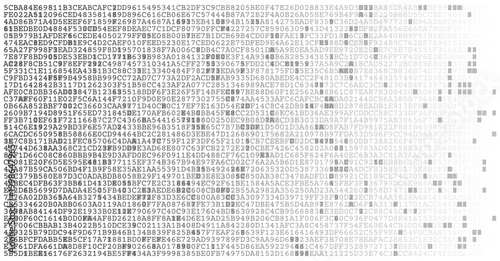 Monolithic Data Block - High Density Binary Matrix for Mainframe Architecture
