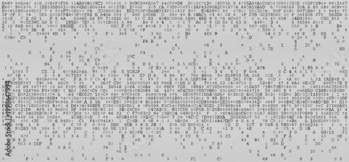 Linear Logic - A Structured Horizontal Distribution of Binary Fragments and System Protocols