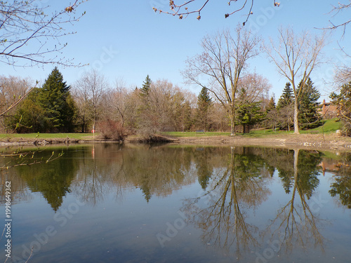 Spring landscape with lake and trees