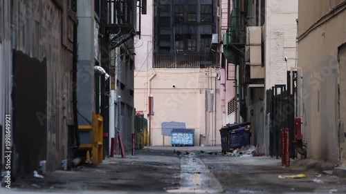 Old Messy Downtown Alley With Pigeons Strolling
