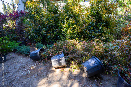 Overturned plant pots at outdoor nursery in sunlight