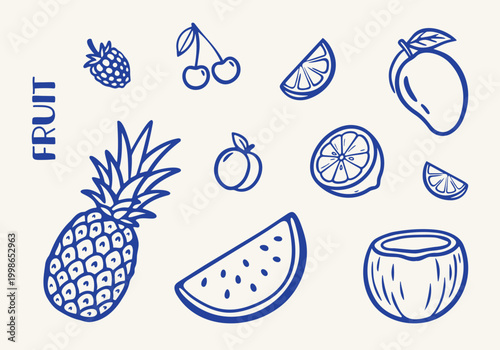 Summer Fruit Vector Illustration Collection