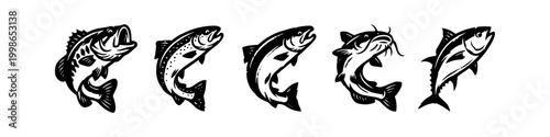Set of Five Fish Species Illustrations in Black and White: Bass, Trout, Salmon, Catfish, and Tuna Vector Icons for Fishing and Angling Designs