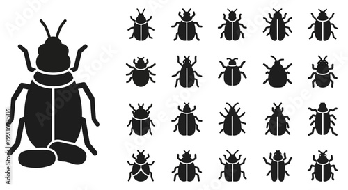 Black beetle icons, bug silhouettes, insect graphics, 20 vector illustrations