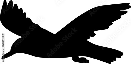 Seagull Flying Silhouette