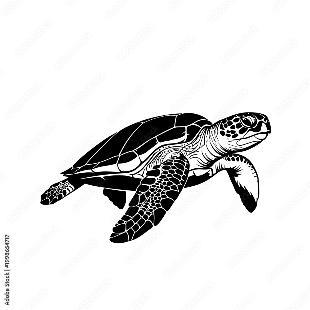 Obraz premium Sea turtle swimming underwater in clear blue ocean with sunlight rays, serene marine life