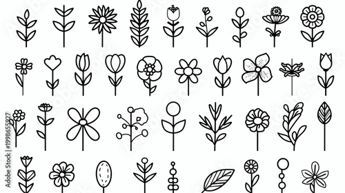 Collection of hand drawn flower illustrations in black and white for design use