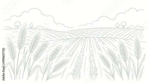 Hand drawn sketch of wheat field landscape with cereal ears and rolling hills under cloudy sky, concept for organic bakery branding, agricultural marketing and artisanal food packaging