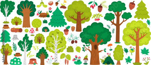 Big vector forest trees and plants set. Cartoon woodland flora collection. Natural parkland scene constructor with birch, pine, fir tree, acorn, mushrooms, cones. Environment care concept