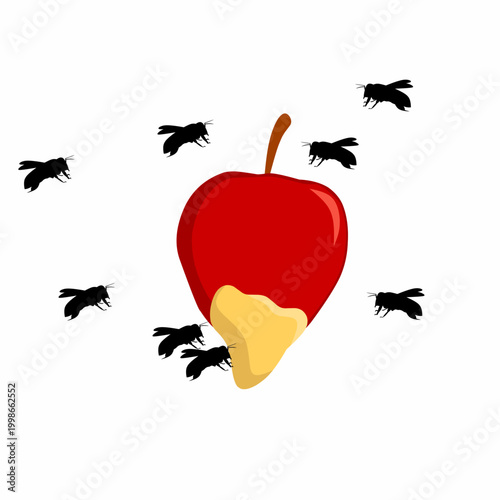 "Stock Illustration of Black Flies Swarming a Rotten and Peeling Red Apple Fruit, Concept of Insect Pests, Food Contamination and Environmental Hygiene on Isolated White Background
