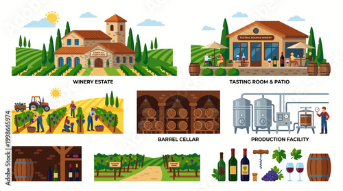 Comprehensive illustration of vineyard and winery operations from harvest to tasting room