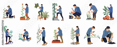 Bild auf Leinwand Illustrative set of male and female botanists and agricultural researchers studying, measuring, and caring for various plant species in laboratory and field settings