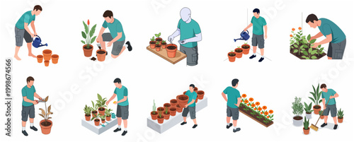 Set of Isometric Illustrations Depicting a Man Engaged in Various Gardening Activities with Plants and Pots