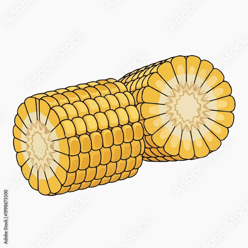 A simple cartoon illustration shows two fresh corn cobs.