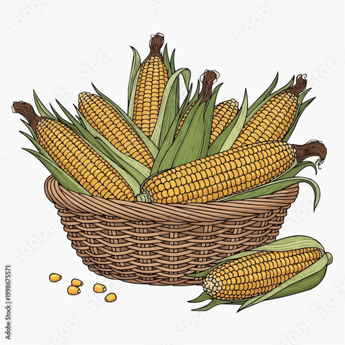 Fresh yellow corn cobs with green husks artfully arranged in a wicker basket.