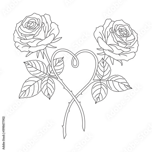 Romantic Two Roses Heart Shape Stem Outline Vector Floral Love Design