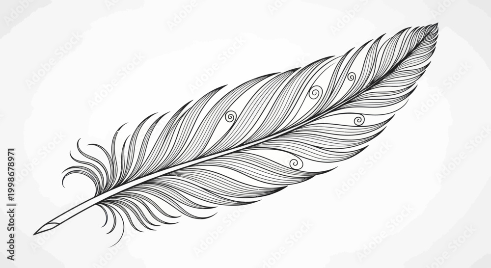 Obraz premium Delicate black ink feather with flowing barbs and spiral details