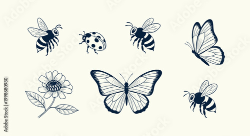 Vintage Hand Drawn Insect Collection with Bees Butterflies Ladybug and Flower Sketch Illustrations