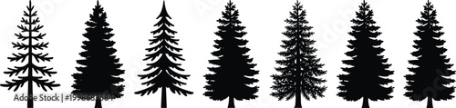 Evergreen tree silhouettes collection, conifer pine forest foliage vector illustration, botanical nature artwork design graphic - black and white flat vector illustration