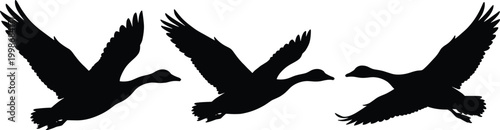 Bird silhouette vector illustration set, flying geese and duck icons with wings extended representing migration, wildlife and nature theme - flat vector illustration