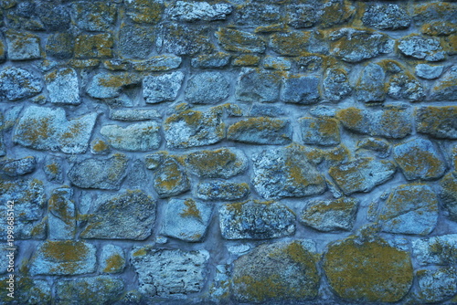 Ancient Stone Wall with Blue Tone and Yellow Moss Lichen, Weathered Natural Rock Masonry Background, Rugged Medieval Fortress Texture for Architecture, Organic Aged Stone Surface Detail, Rural Masonry
