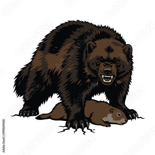 Ferocious wolverine illustration capturing the raw power and predatory instinct of a wild carnivore, asserting dominance over its hunted prey