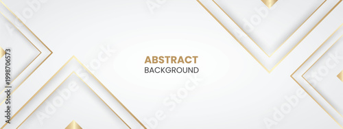 Abstract simple white background shadow with gold lines and line wave geometric circle shape.