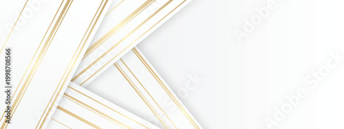 Abstract simple white background shadow with gold lines and line wave geometric circle shape.