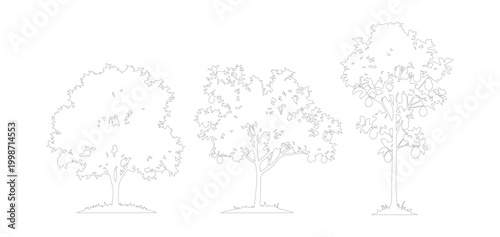 Minimalist tree line art set, architectural landscape plant sketches, collection of three deciduous tree vector icons for site plans and diagrams