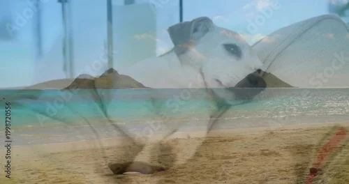 Obraz Resting light-colored dog lying on cushion, blending with sandy beach, turquoise water and islets