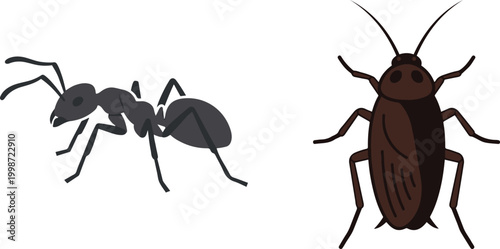 Illustration of an ant and a cockroach in simple vector style, representing common insects in a clear and minimal design.