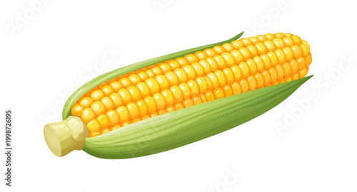 fresh corn on cob, yellow maize vegetable, organic farm produce, healthy fresh corn, natural food ingredient, sweet corn isolated, farm harvest maize, white background corn, nutritious vegetable crop,