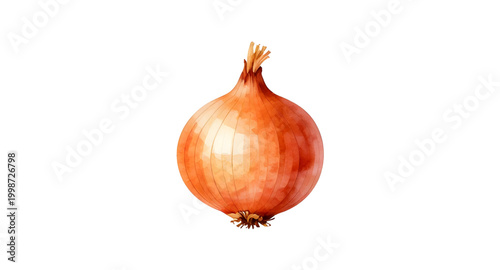 red onion illustration, whole onion vegetable, botanical food artwork, fresh kitchen ingredient, organic onion graphic, culinary design asset, healthy vegetable illustration, farm fresh onion, cooking