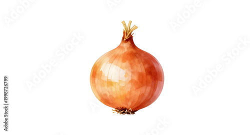 red onion illustration, whole onion vegetable, botanical food artwork, fresh kitchen ingredient, organic onion graphic, culinary design asset, healthy vegetable illustration, farm fresh onion, cooking