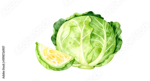 green cabbage vegetable, fresh leafy cabbage, organic farm produce, healthy green vegetable, brassica oleracea plant, natural food ingredient, raw cabbage leaf, vegan kitchen vegetable, nutritious lea