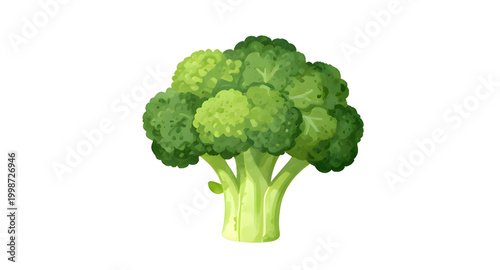 broccoli, vegetable, watercolor, green, fresh, healthy, food, organic, leaf, nutrition, farm, vegan, ingredient, botanical, illustration, natural, organic