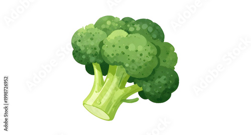 watercolor broccoli illustration, fresh green vegetable, healthy food artwork, organic broccoli painting, botanical vegetable design, farm fresh broccoli, leafy green ingredient, vegan food illustrati