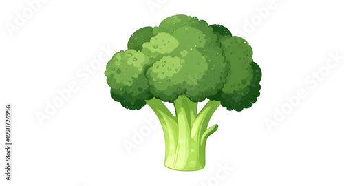 broccoli, vegetable, watercolor, green, fresh, healthy, food, organic, leaf, nutrition, farm, vegan, ingredient, botanical, illustration, natural, organic