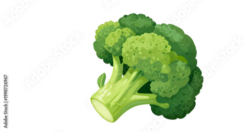 watercolor broccoli illustration, fresh green vegetable, healthy food artwork, organic broccoli painting, botanical vegetable design, farm fresh broccoli, leafy green ingredient, vegan food illustrati