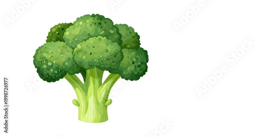 watercolor broccoli illustration, fresh green vegetable, healthy food artwork, organic broccoli painting, botanical vegetable design, farm fresh broccoli, leafy green ingredient, vegan food illustrati
