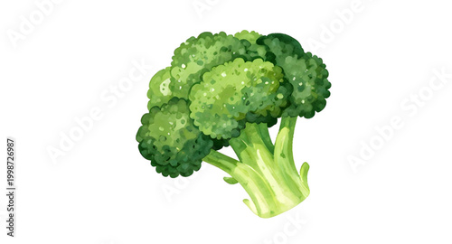 watercolor broccoli illustration, fresh green vegetable, healthy food artwork, organic broccoli painting, botanical vegetable design, farm fresh broccoli, leafy green ingredient, vegan food illustrati