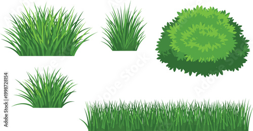 Green Grass Clumps and Round Bush Vector Set for Nature Garden Landscape Design Elements