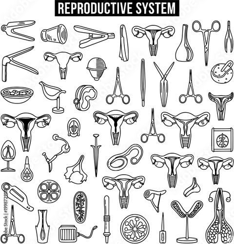 Reproductive System Outline Icons: Gynecological Instruments  Female Anatomy Collection