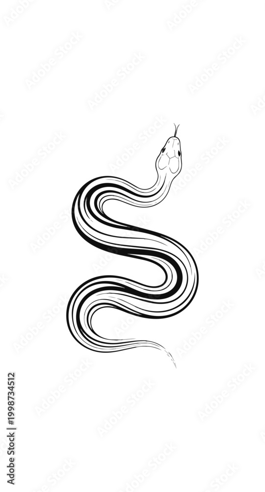 Fototapeta premium Serpentine silhouette elegant outline on dark backdrop