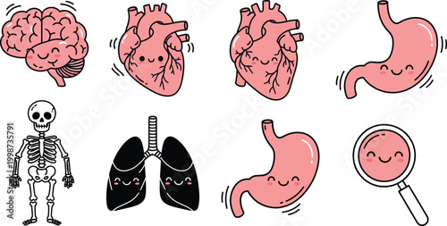 Cute Human Organs Cartoon Icon Set with Happy Brain Heart Stomach and Lungs