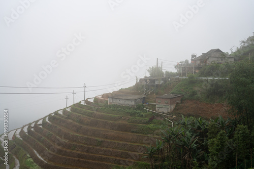 Obraz na plátně Terraced rice paddies carved into the mountainside near Sapa in Northern Vietnam's highlands